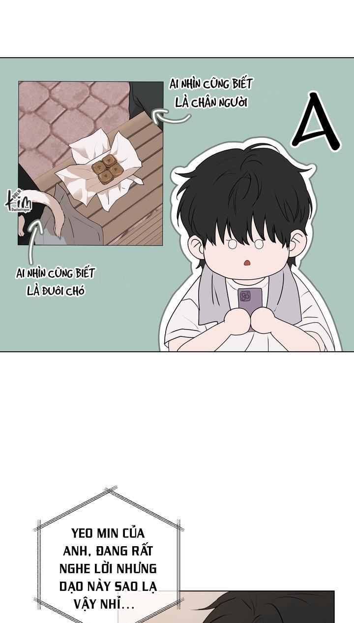 BÁNH QUY TÌNH YÊU TAN CHẢY - Chap 8