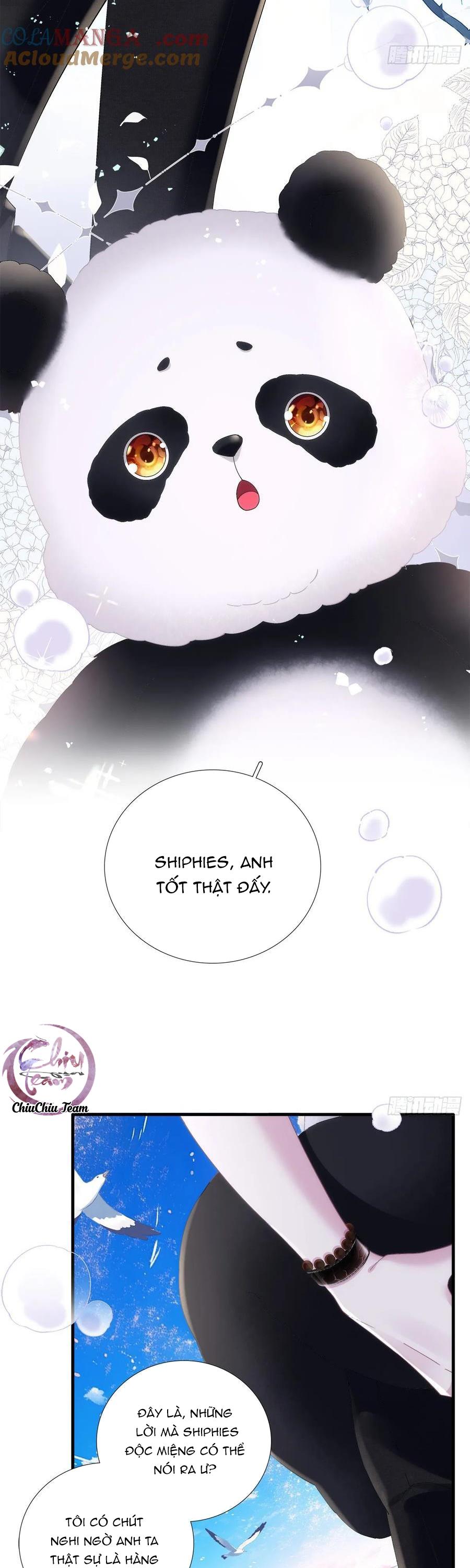 Thánh Tâm không dễ chọc - Chap 66