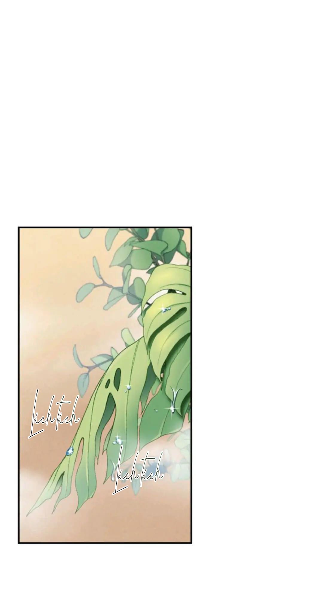 Cứu Rỗi - Chap 8