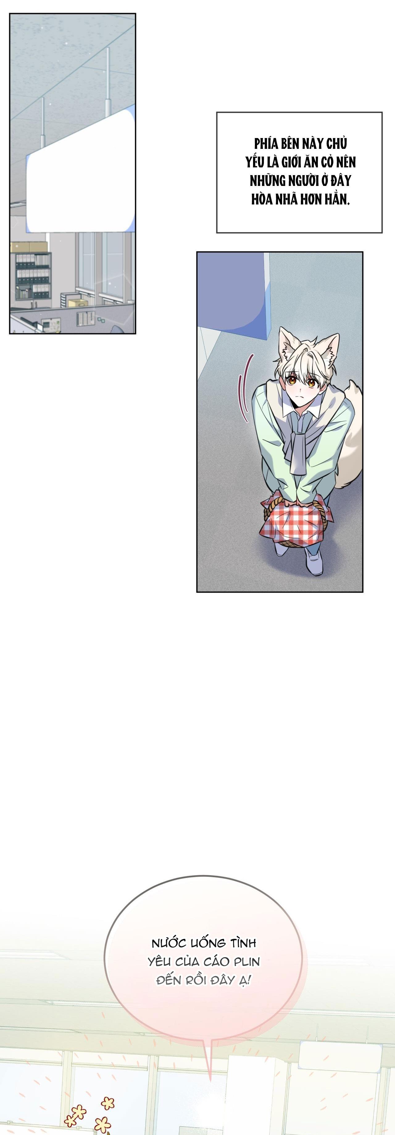 NƯỚC UỐNG TÌNH YÊU CỦA CÁO PLIN - Chap 1