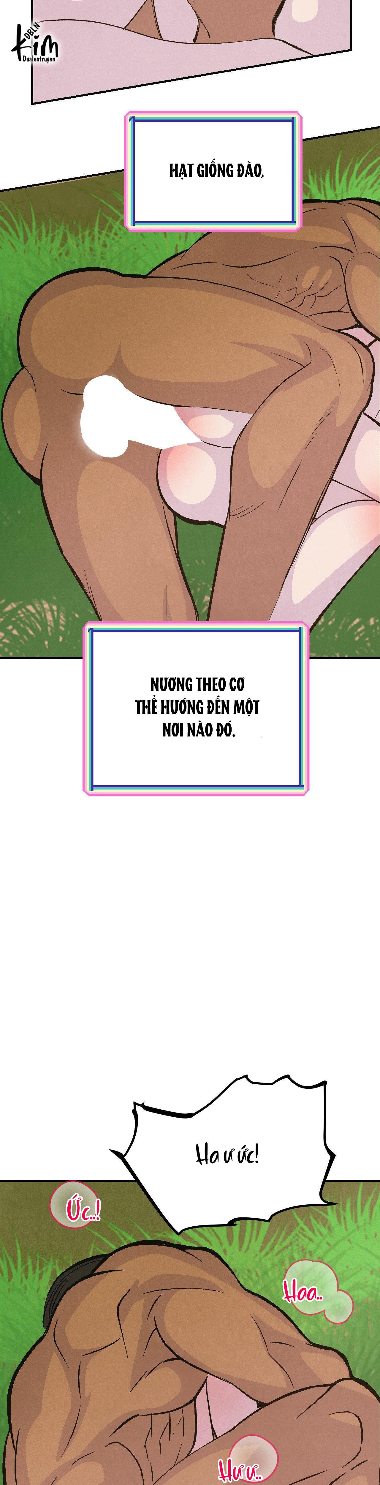 CẬU BÉ ĐÀO - Chap 13