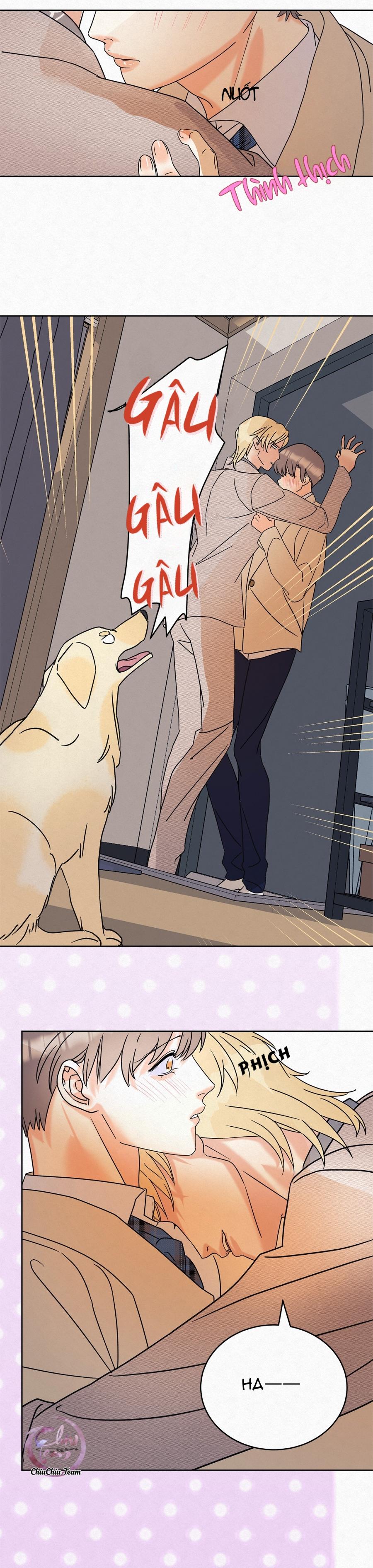 Anh Trai Rẻ Tiền Của Tôi (END) - Chap 9