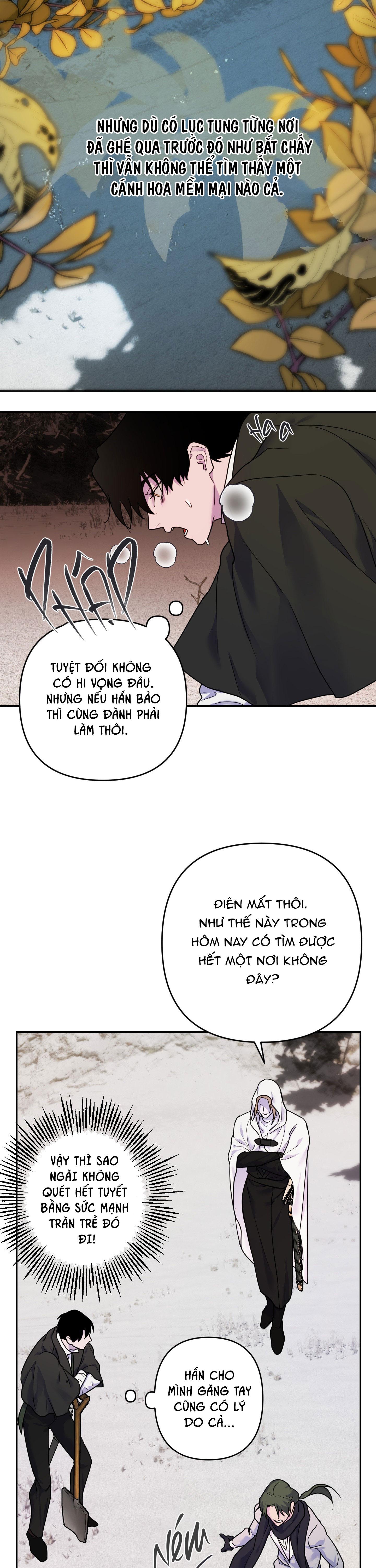 ĐÓA HOA CỦA ALOSHA - Chap 21