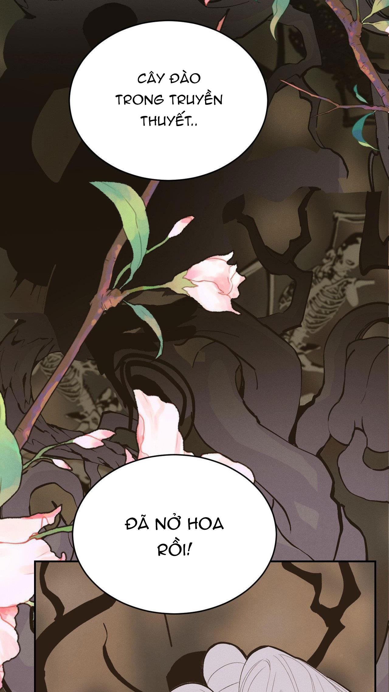CẬU BÉ ĐÀO - Chap 34