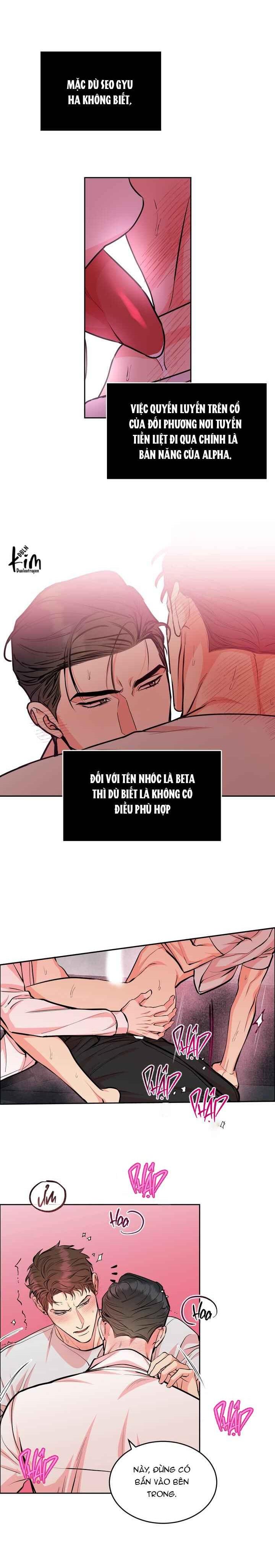 CHÓ VÀ CHIM - Chap 29