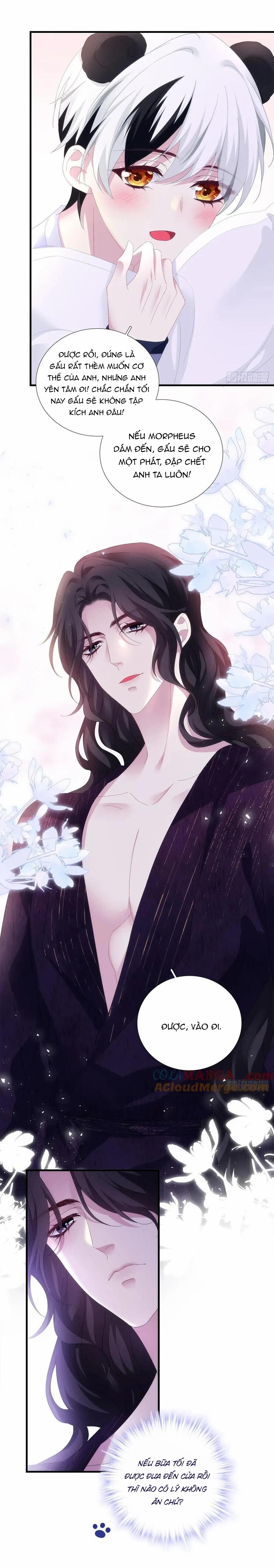Thánh Tâm không dễ chọc - Chap 57