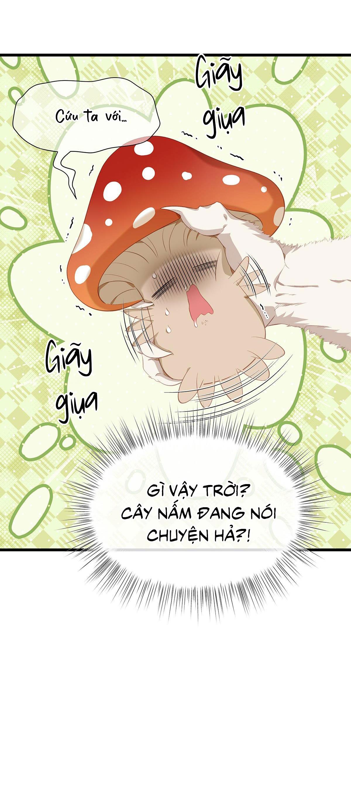 Tôi trùng sinh thành chú rồng đen của vương tử điện hạ - Chap 14