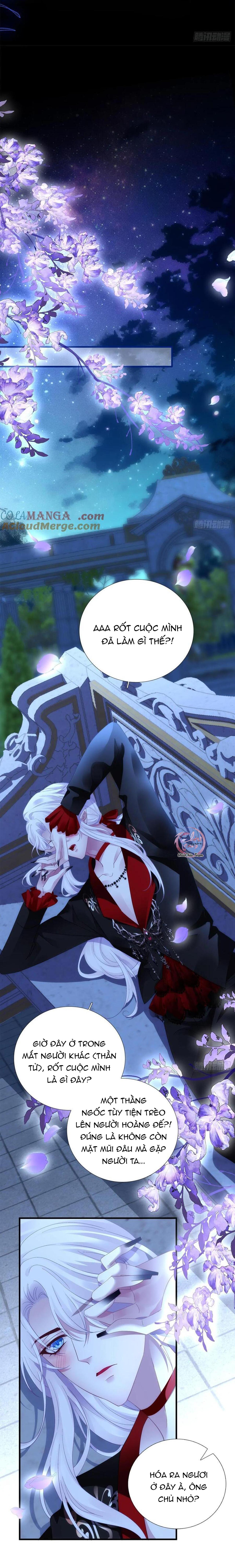 Thánh Tâm không dễ chọc - Chap 58