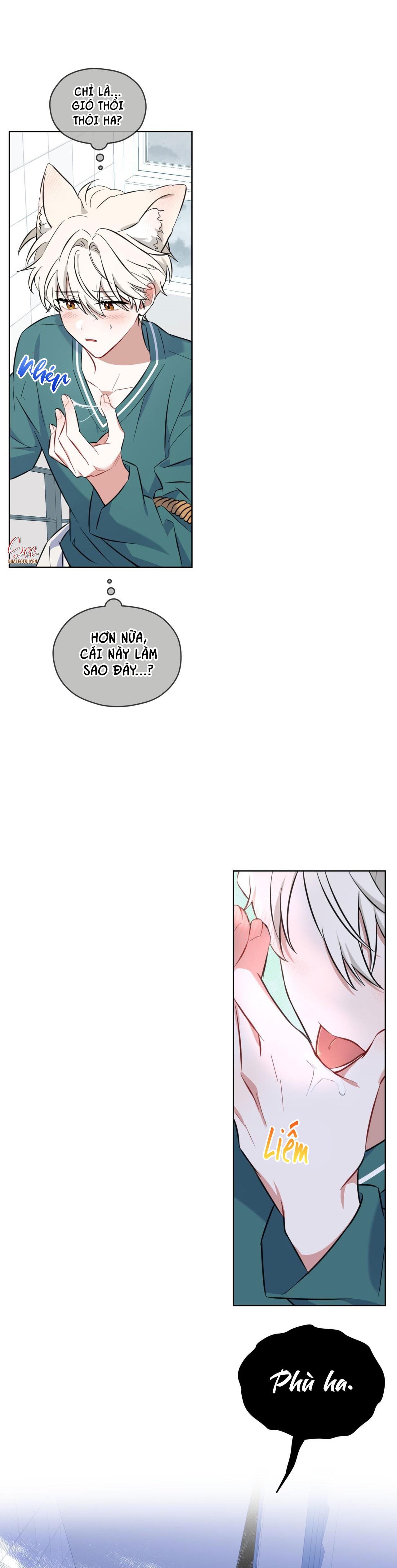 NƯỚC UỐNG TÌNH YÊU CỦA CÁO PLIN - Chap 2