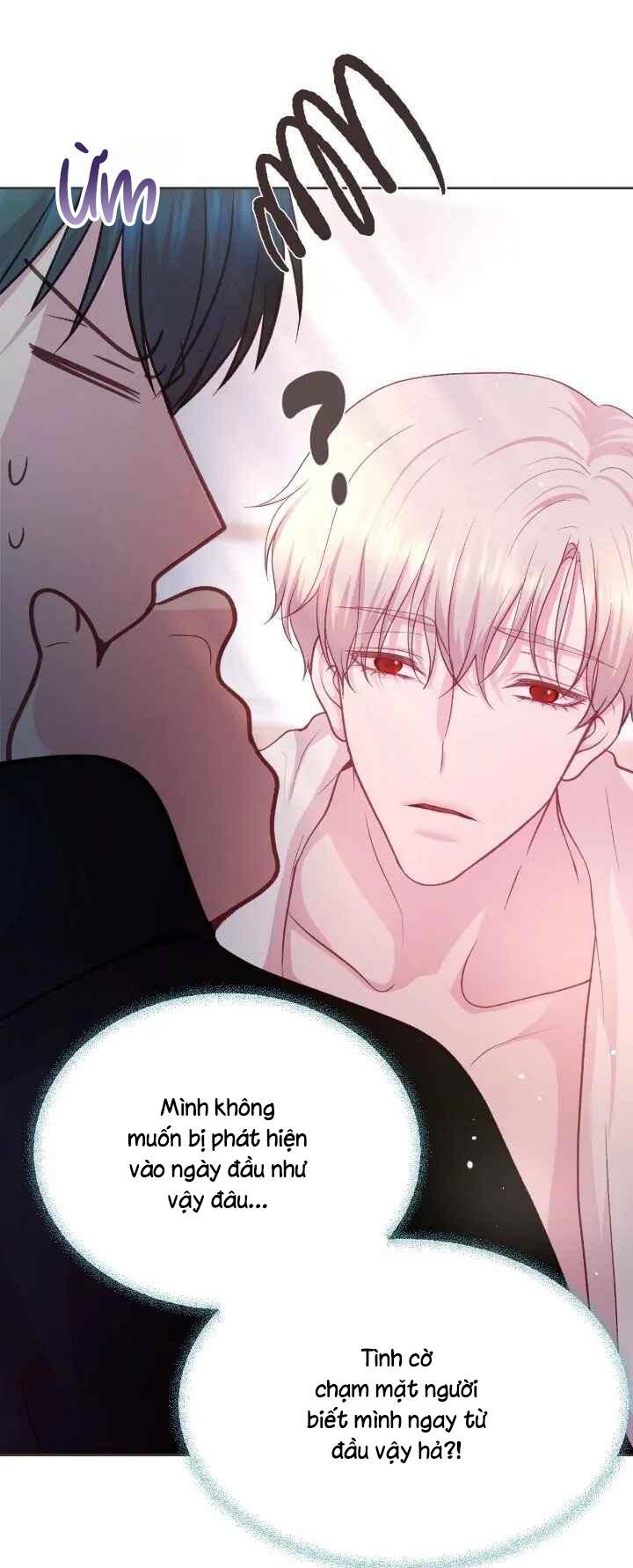 Bạn Đời Định Mệnh - Chap 2