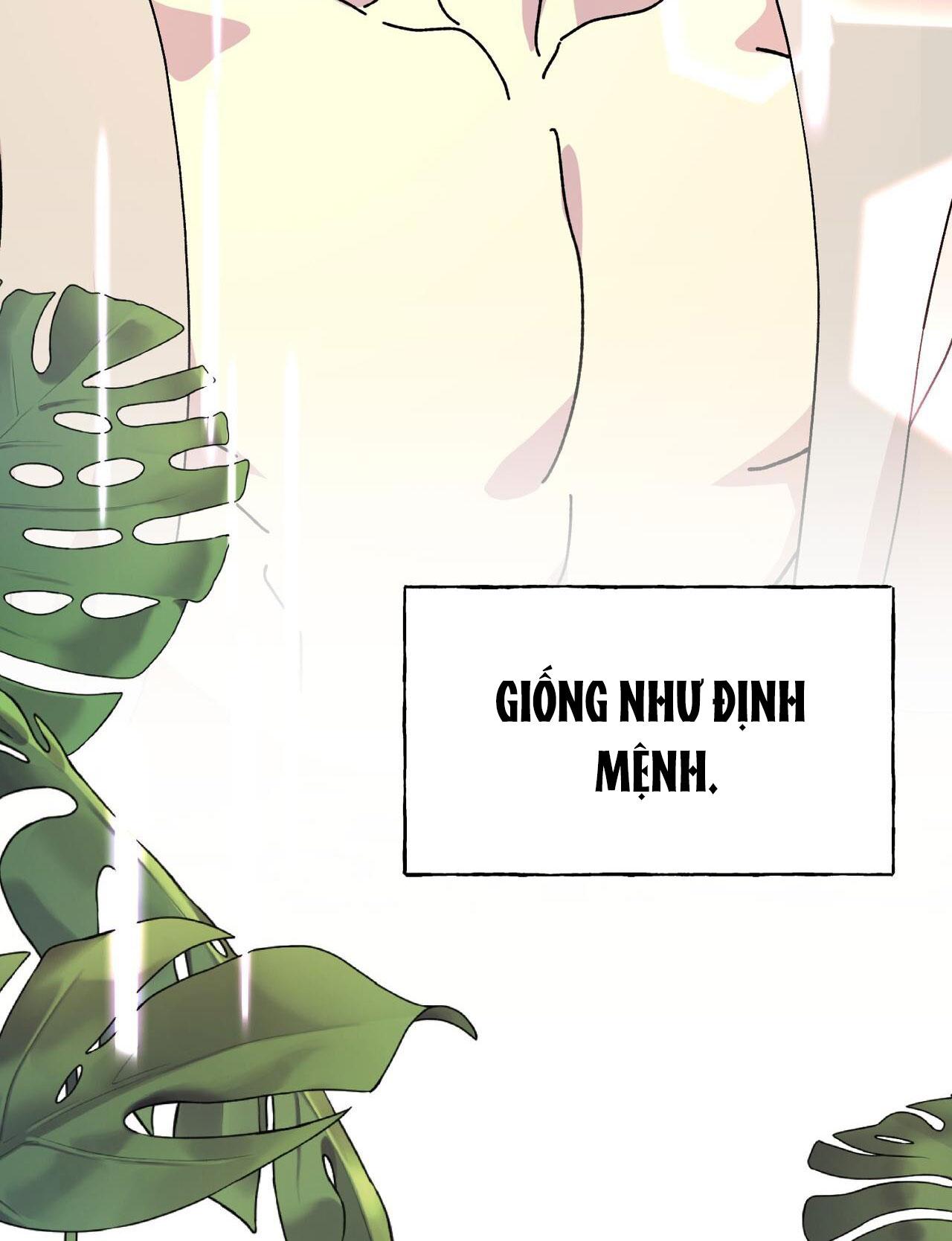 (ABO) ĐÁM CƯỚI HOÀNG GIA - Chap 24