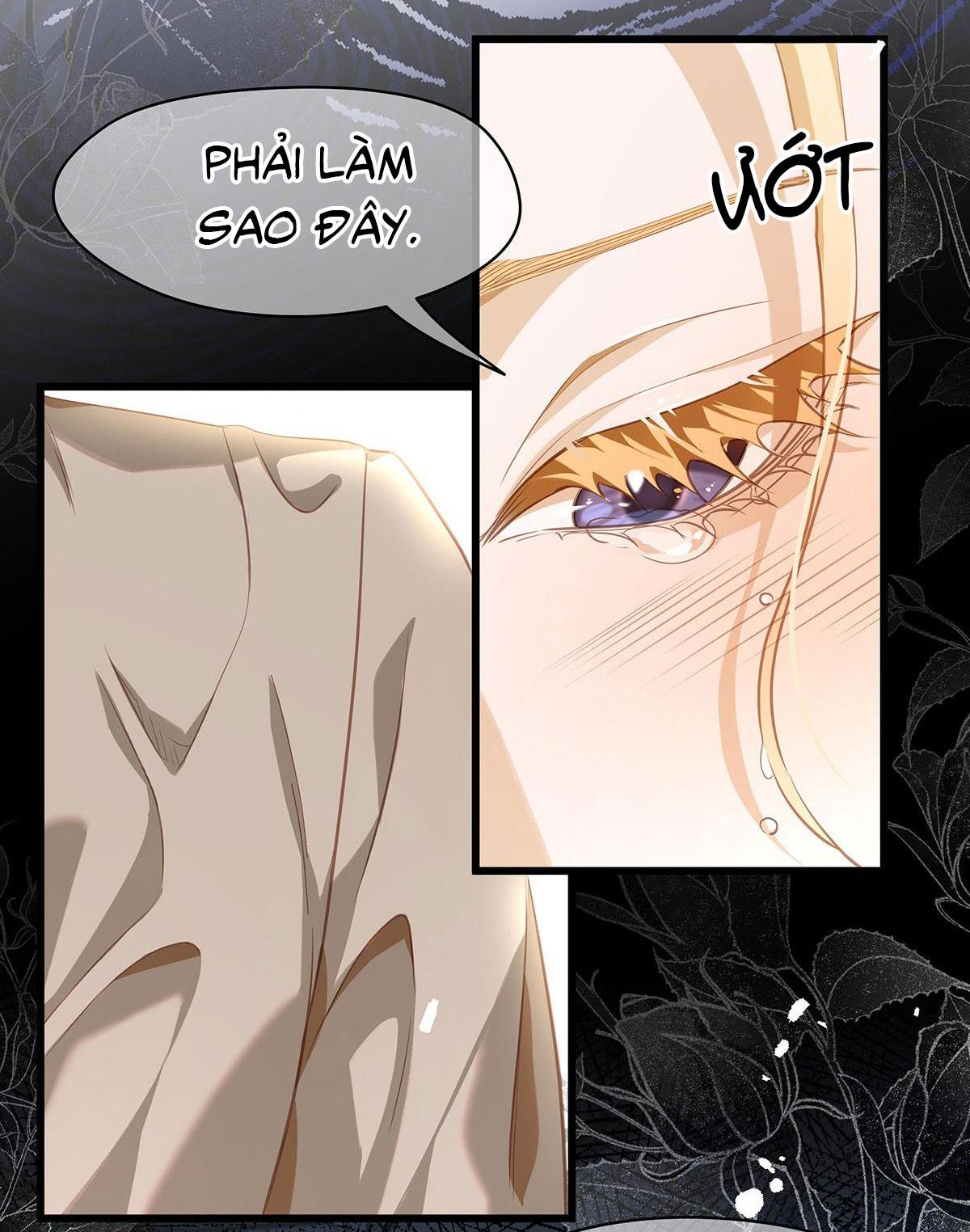 Tôi trùng sinh thành chú rồng đen của vương tử điện hạ - Chap 18