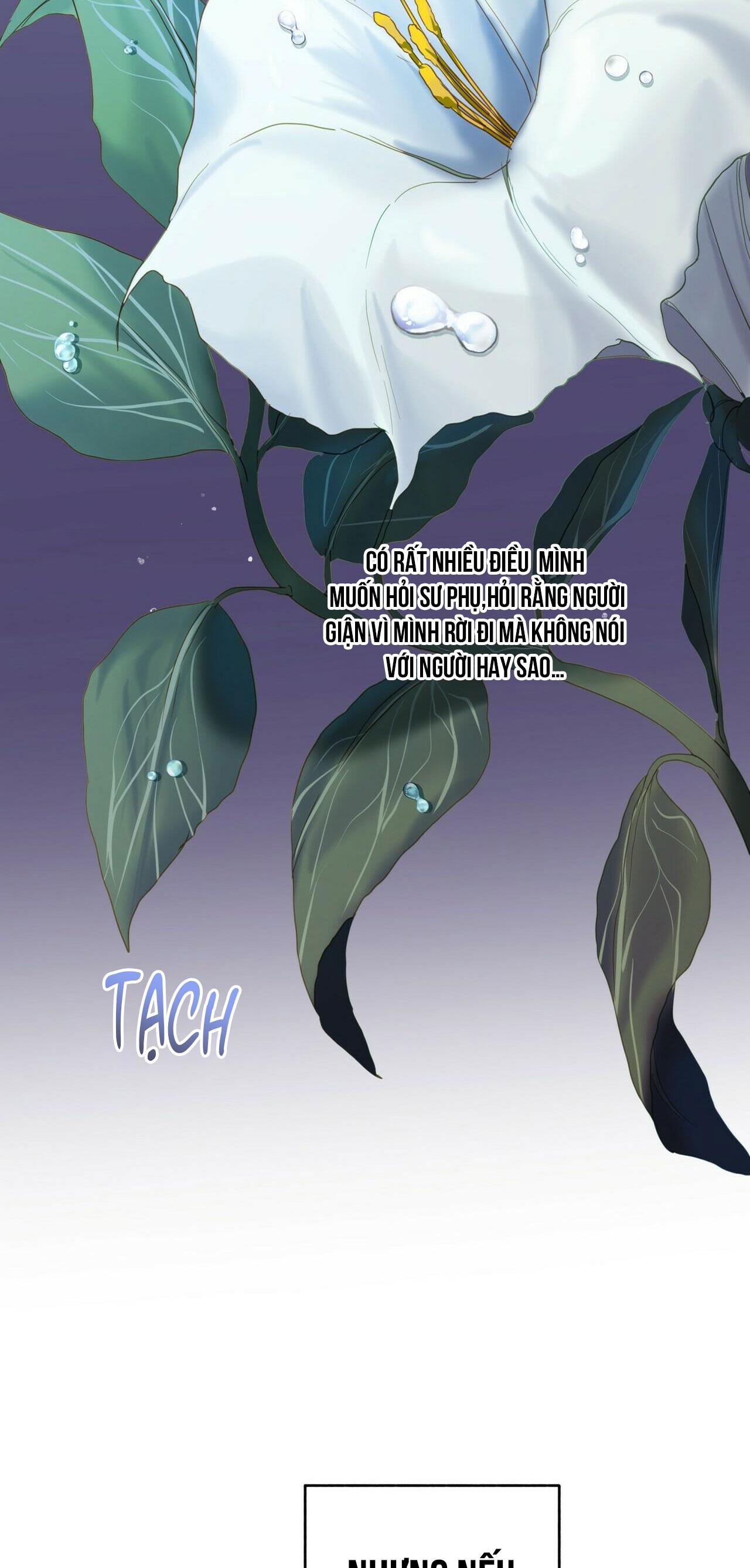 BÁT NHÃ GIAI NHÂN - Chap 35