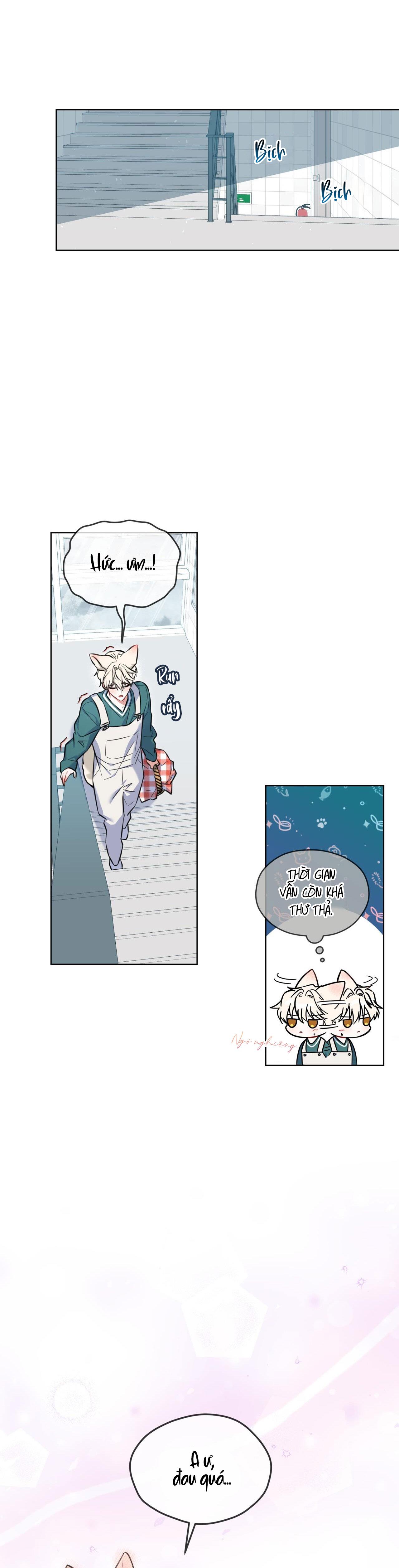 NƯỚC UỐNG TÌNH YÊU CỦA CÁO PLIN - Chap 2