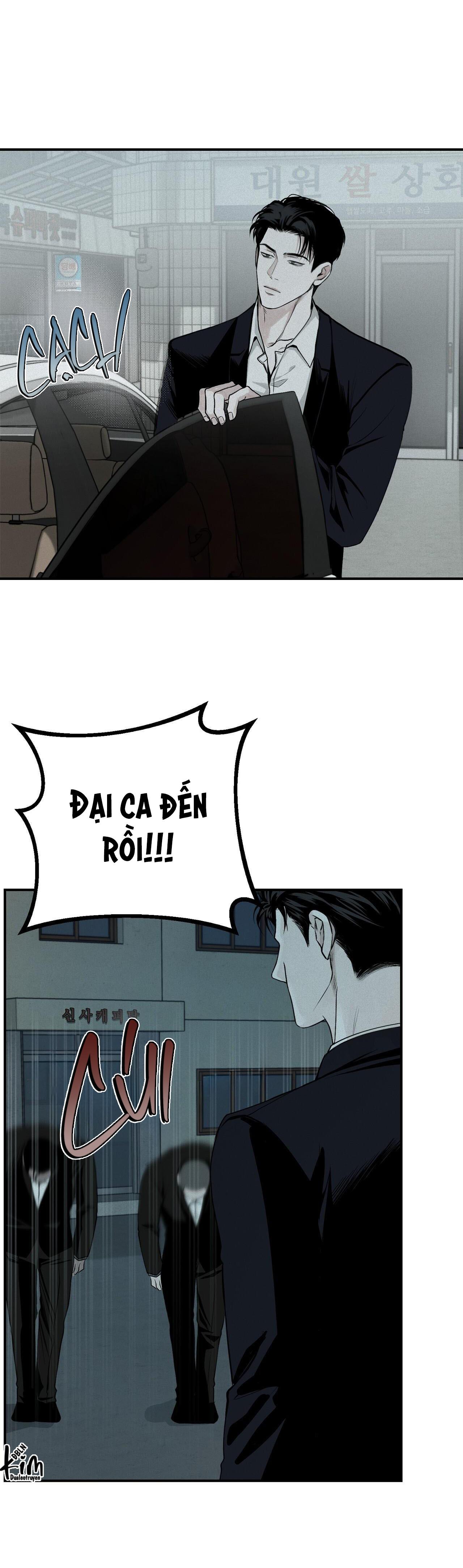 PROJECTION - Chap 28