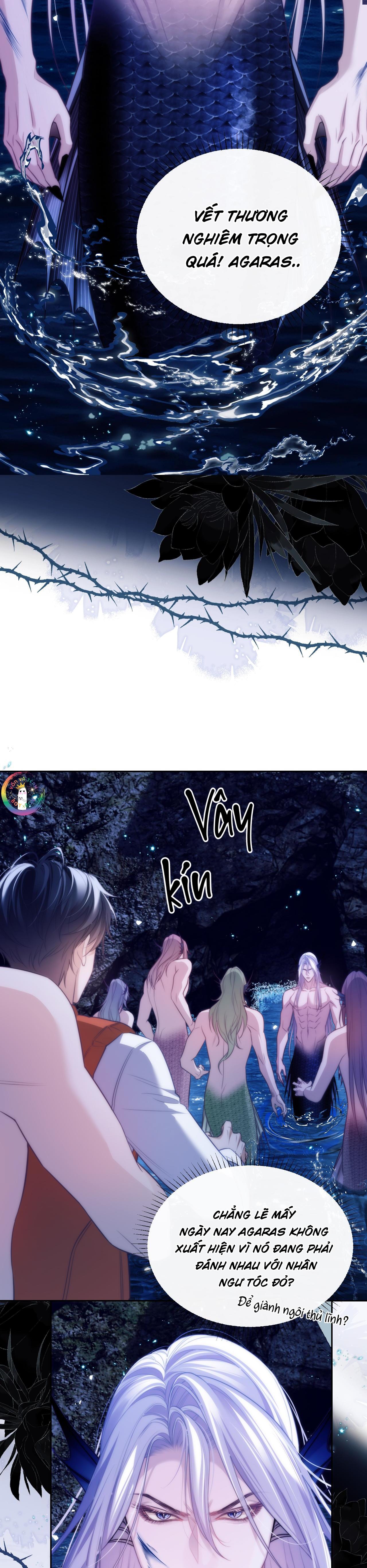 Nhân Ngư Desharow - Chap 41