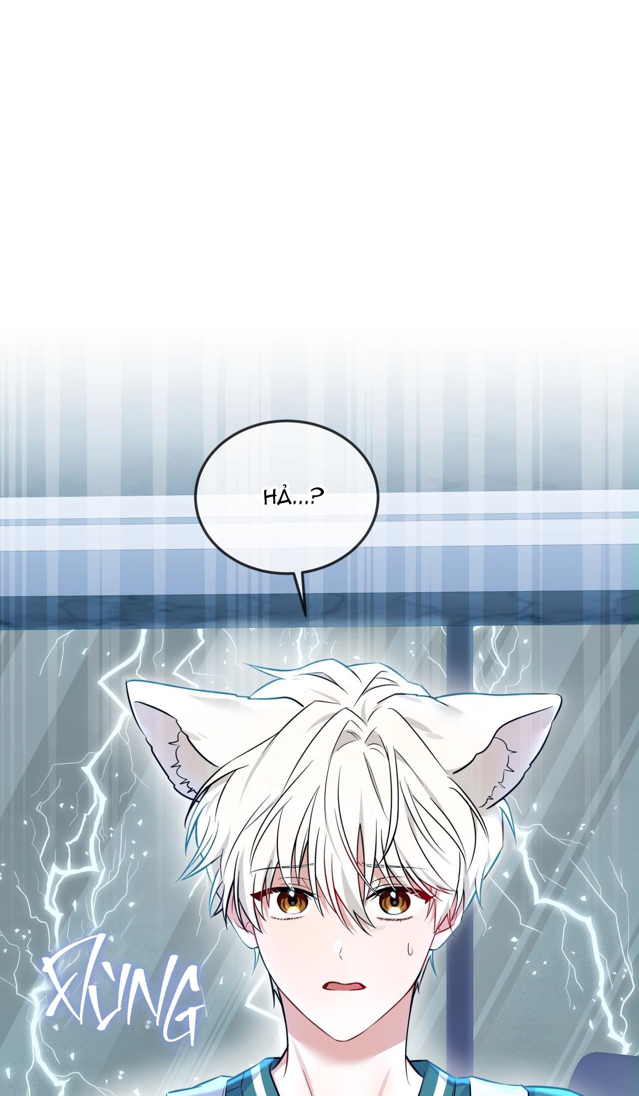 NƯỚC UỐNG TÌNH YÊU CỦA CÁO PLIN - Chap 4