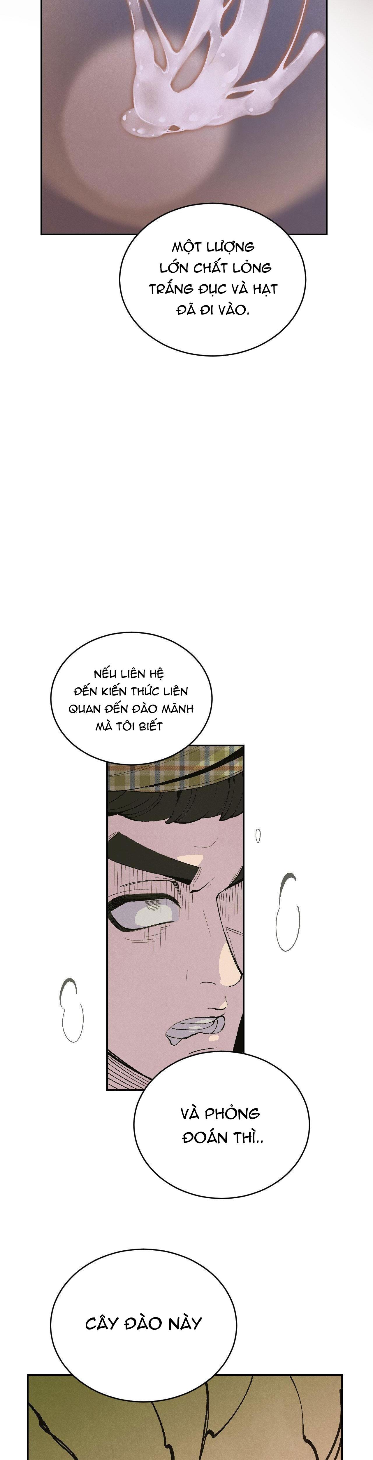 CẬU BÉ ĐÀO - Chap 33