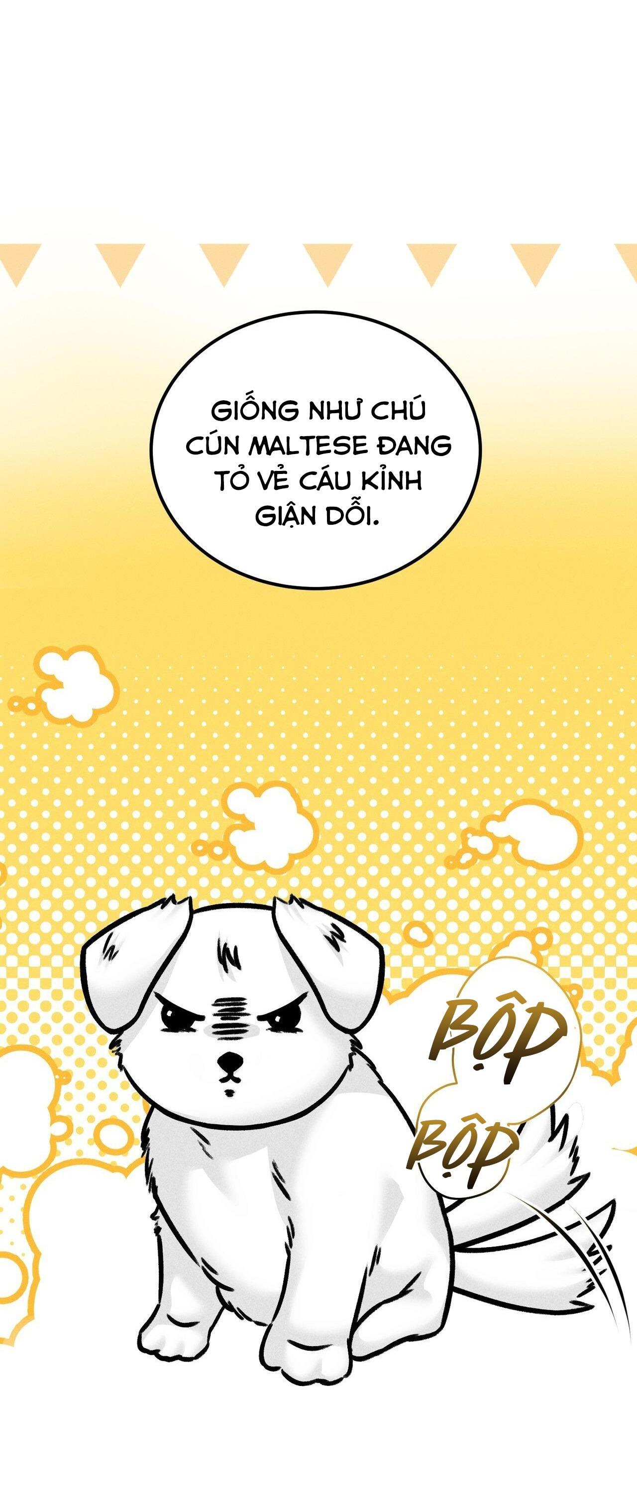 CHỜ CHÚT! ĐỪNG DI CHUYỂN - Chap 10
