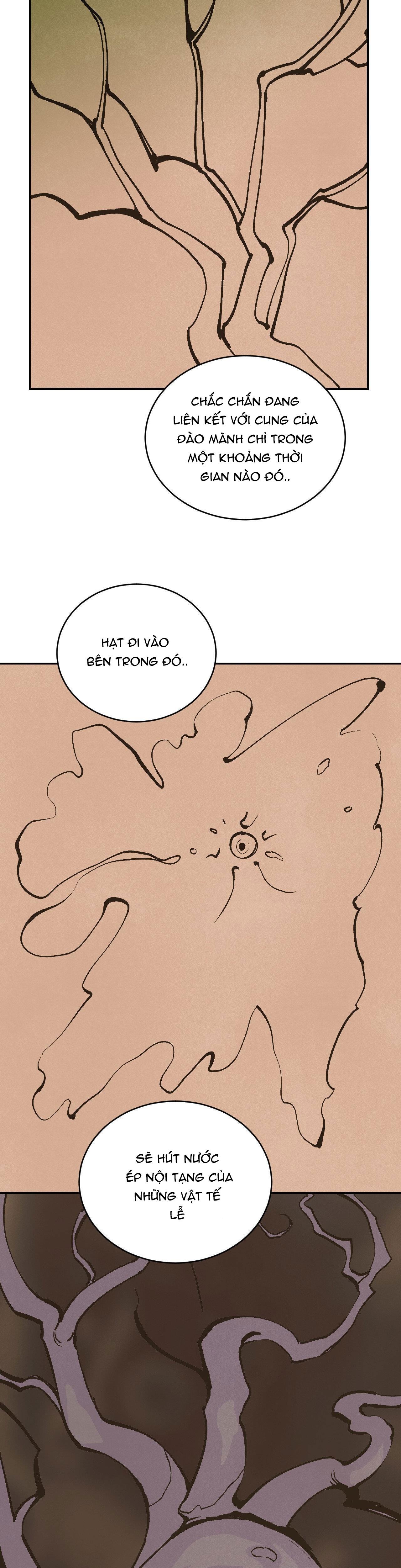 CẬU BÉ ĐÀO - Chap 33