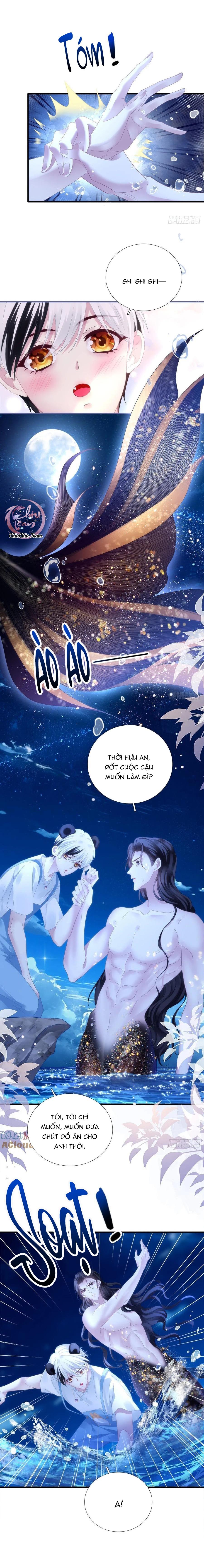 Thánh Tâm không dễ chọc - Chap 39