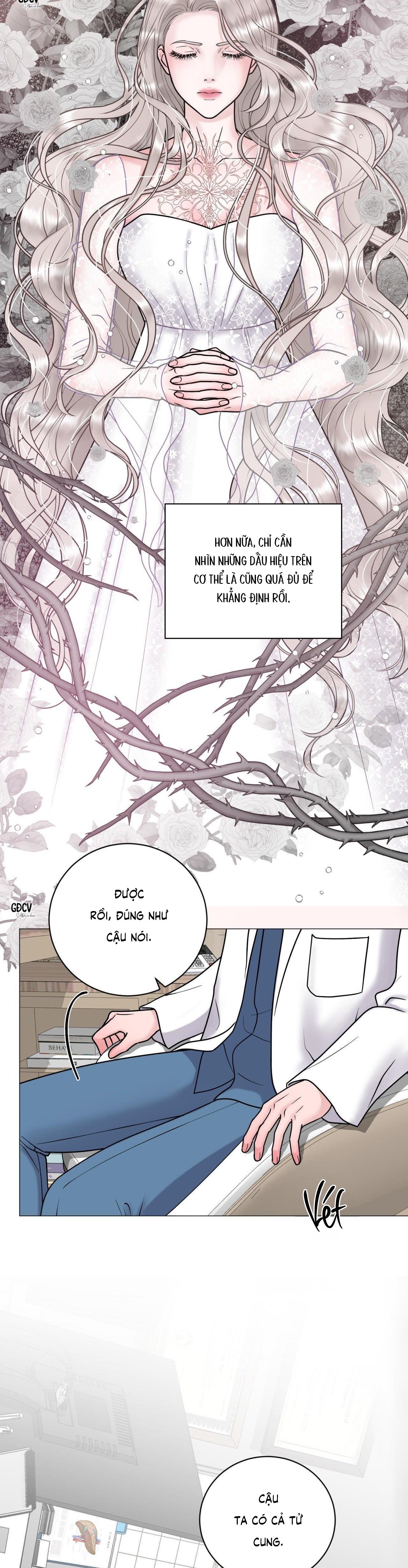 ẢO ẢNH - Chap 5
