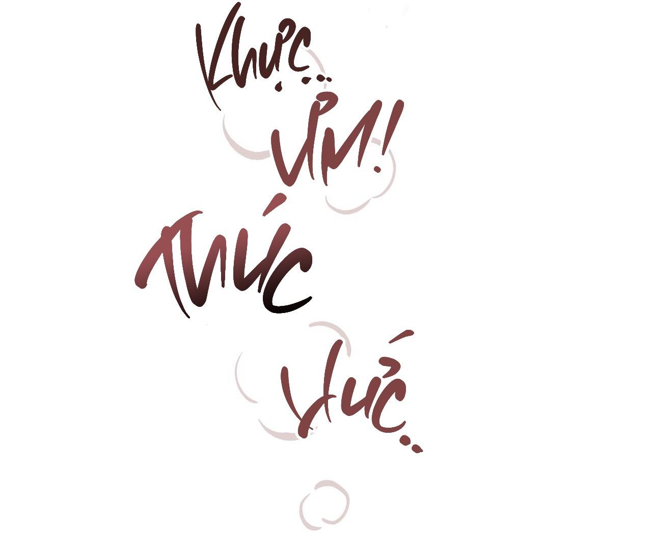 MẬT GẤU - Chap 41