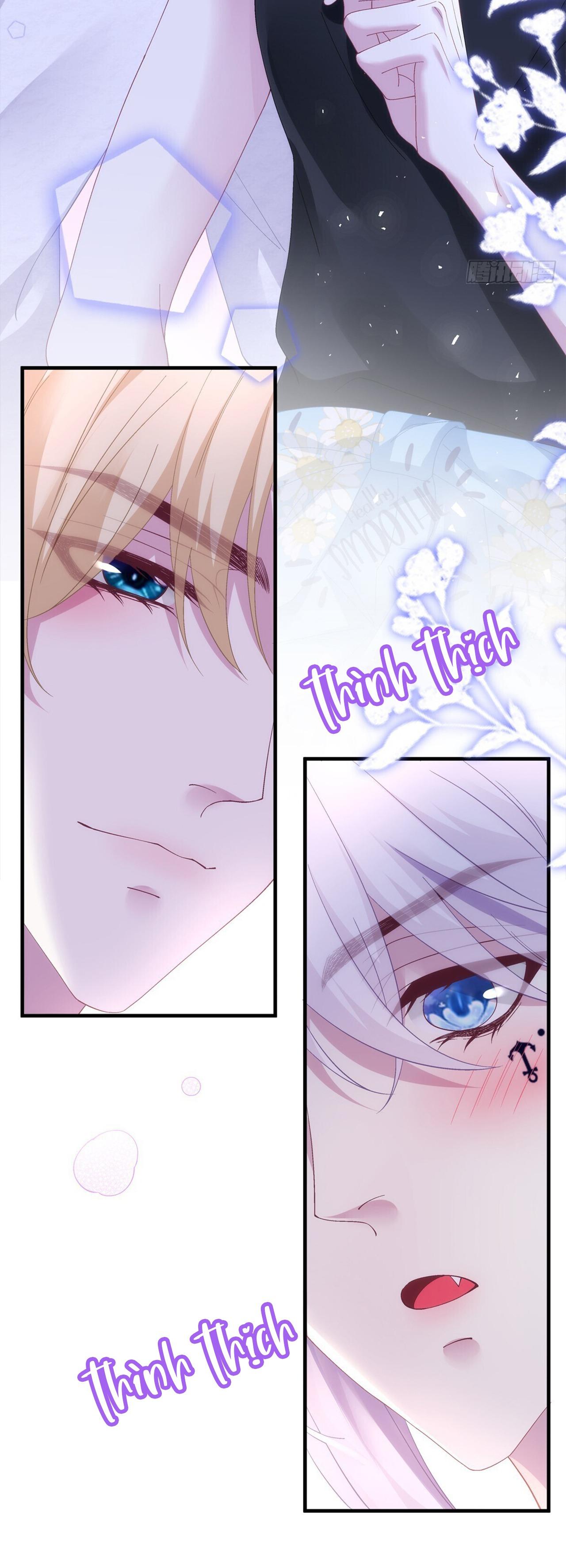 Thánh Tâm không dễ chọc - Chap 68