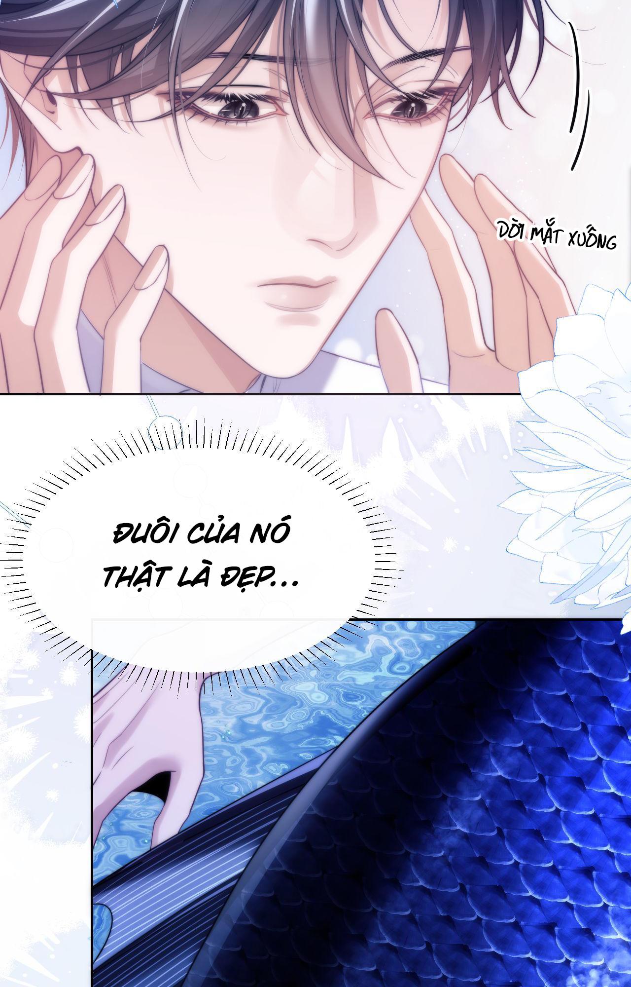 Nhân Ngư Desharow - Chap 44