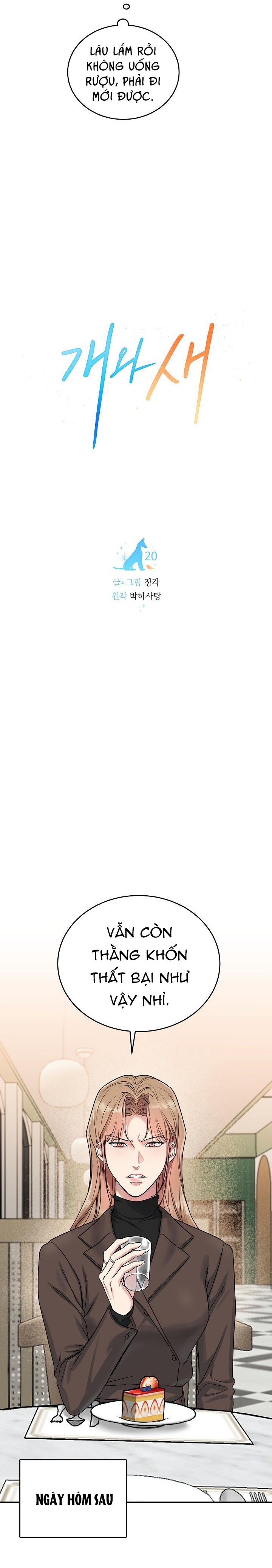 CHÓ VÀ CHIM - Chap 20