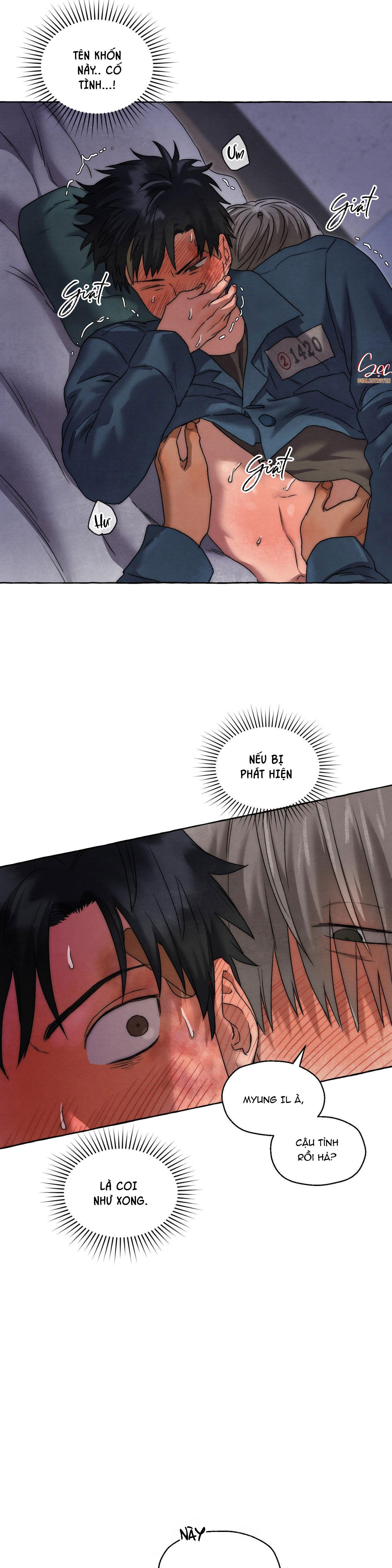 NHỮNG CON CHÓ TRONG TÙ - Chap 28