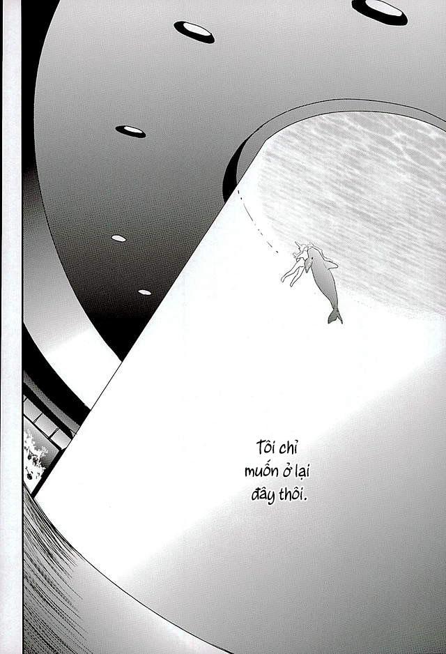 TUYỂN TẬP BDSM CHỊT CHỌT - Chap 131