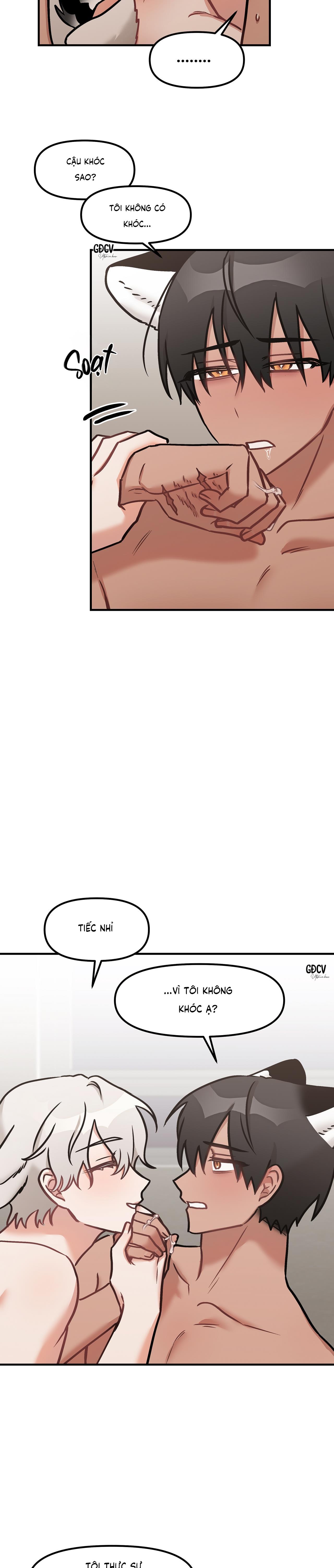 THƯA NGÀI HỔ, TÔI ĐÃ ĂN RẤT NGON MIỆNG - Chap 24
