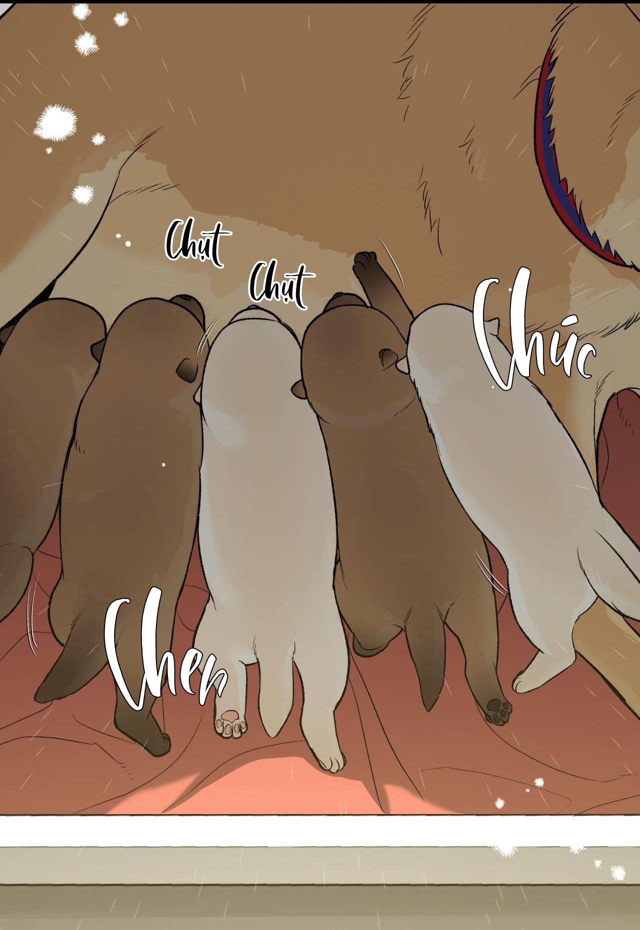 (CBunu) ChinhX - Vận Xui - Chap 57