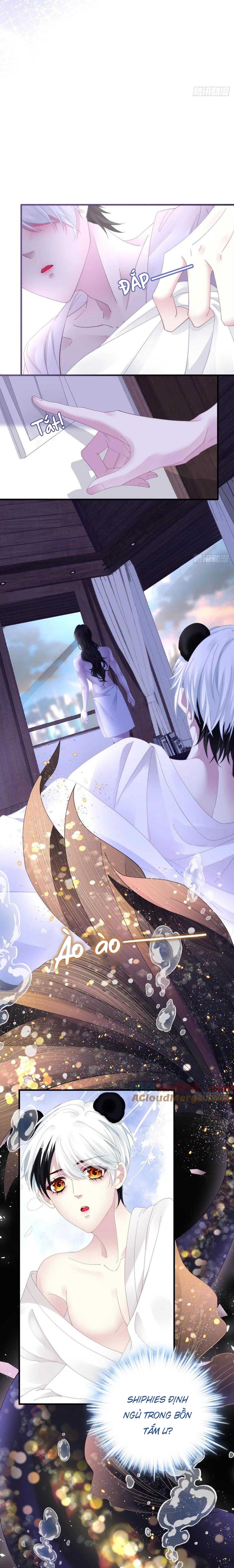 Thánh Tâm không dễ chọc - Chap 43