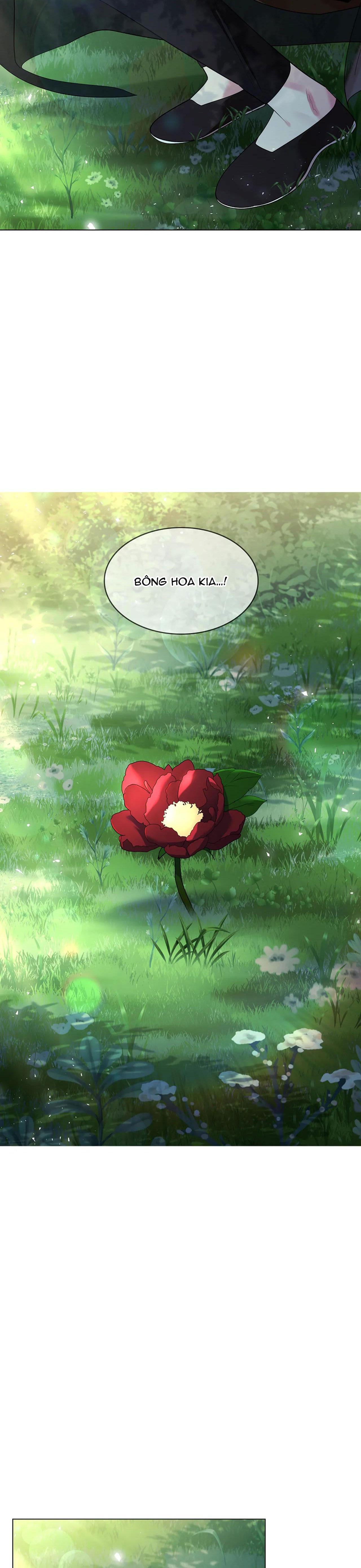 HOA GIẤY - Chap 76