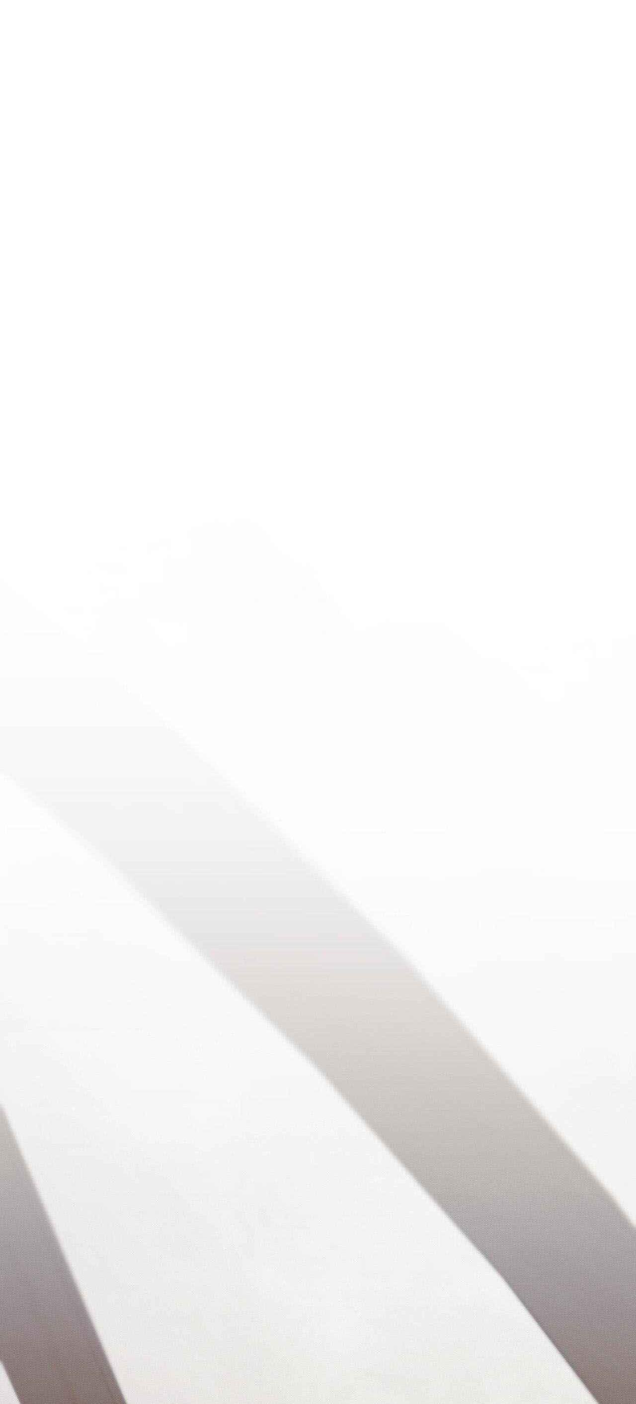 Đầm Lầy Của Nhân Ngư - Chap 21