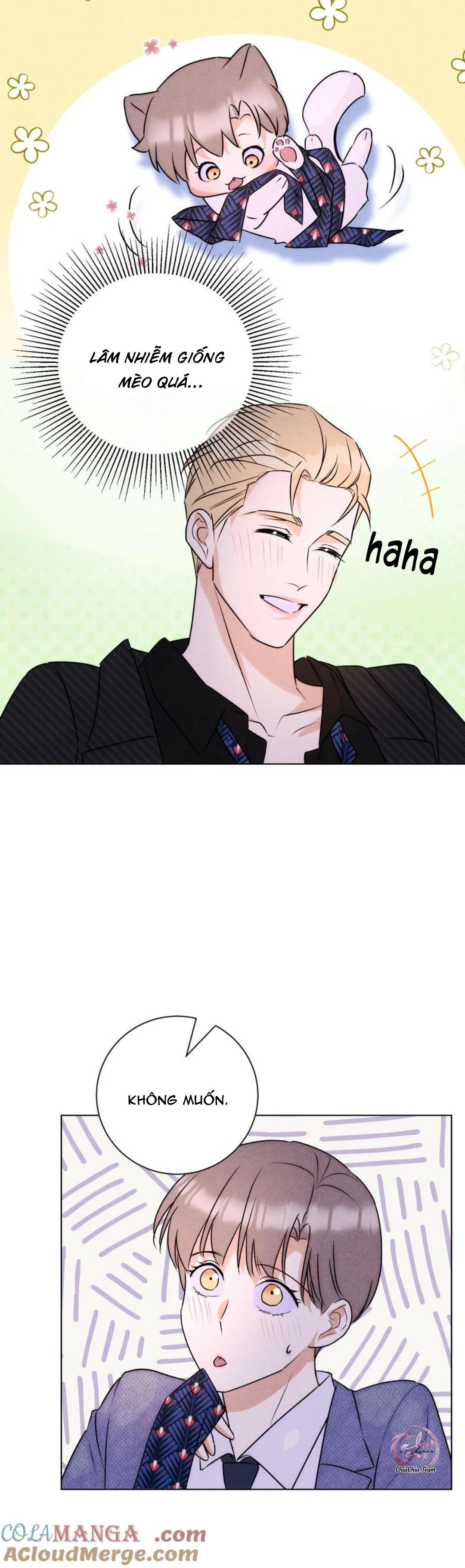 Anh Trai Rẻ Tiền Của Tôi (END) - Chap 51