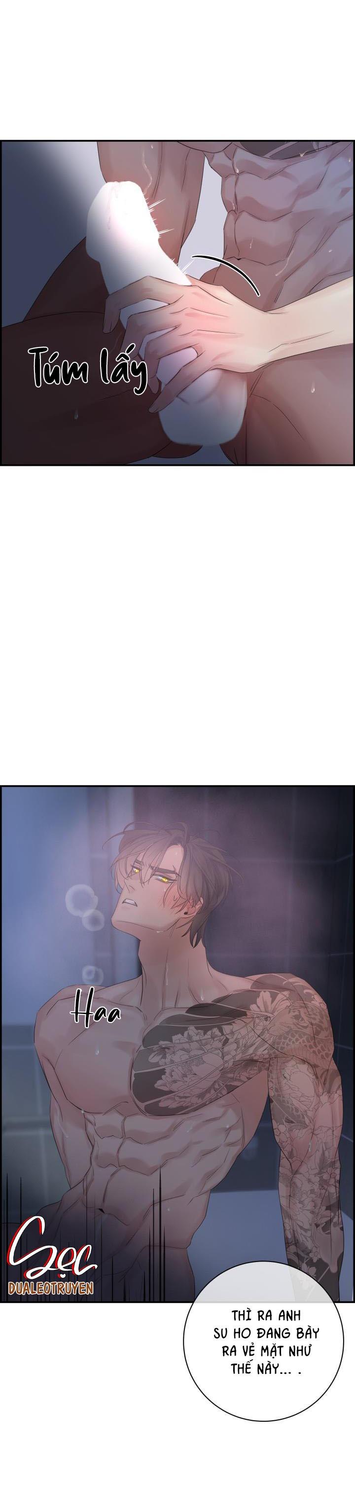 CƠ CHẾ BẢO VỆ - Chap 47