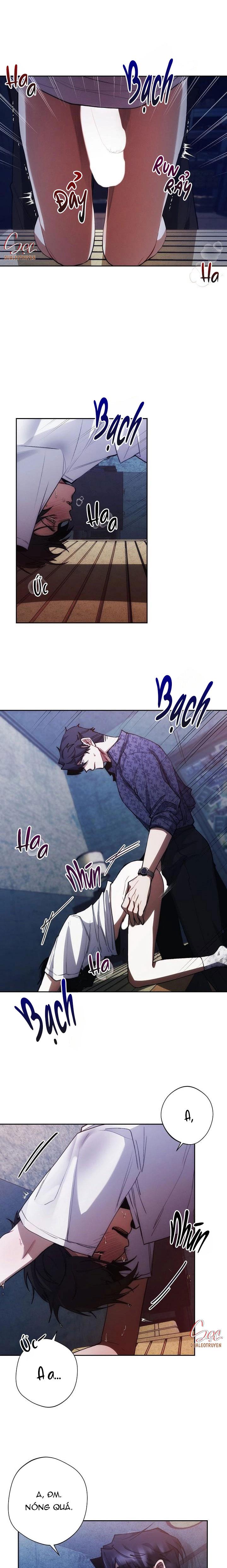 RED MANSION - Chap 9
