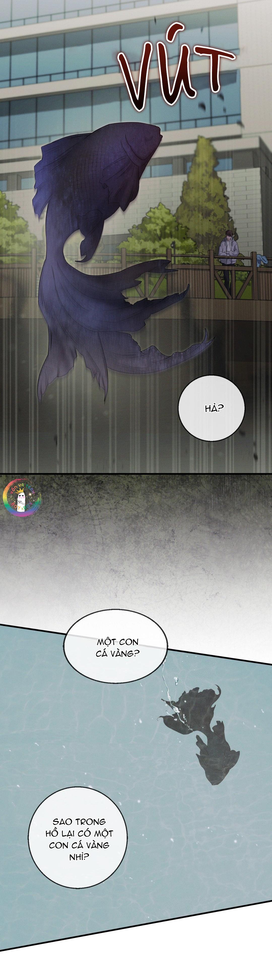 Màn Đêm Không Lối - Chap 21