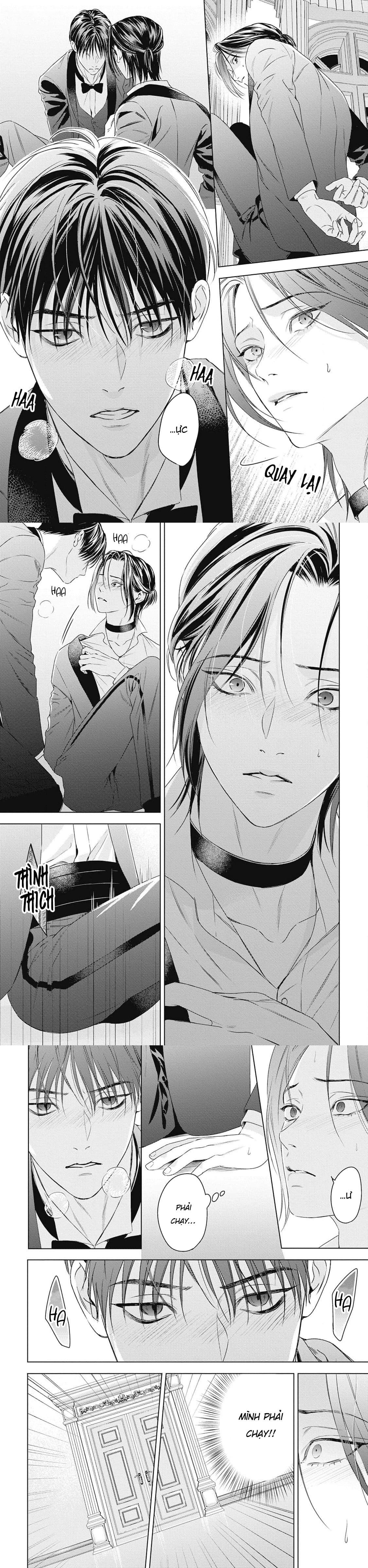 Hòa thanh dưới ánh nến hoa cùng tình yêu của Omega - Chap 2