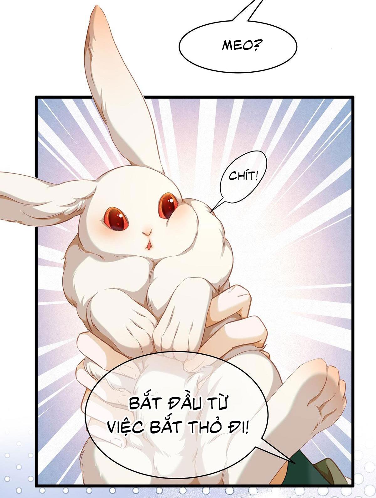 Tôi trùng sinh thành chú rồng đen của vương tử điện hạ - Chap 14