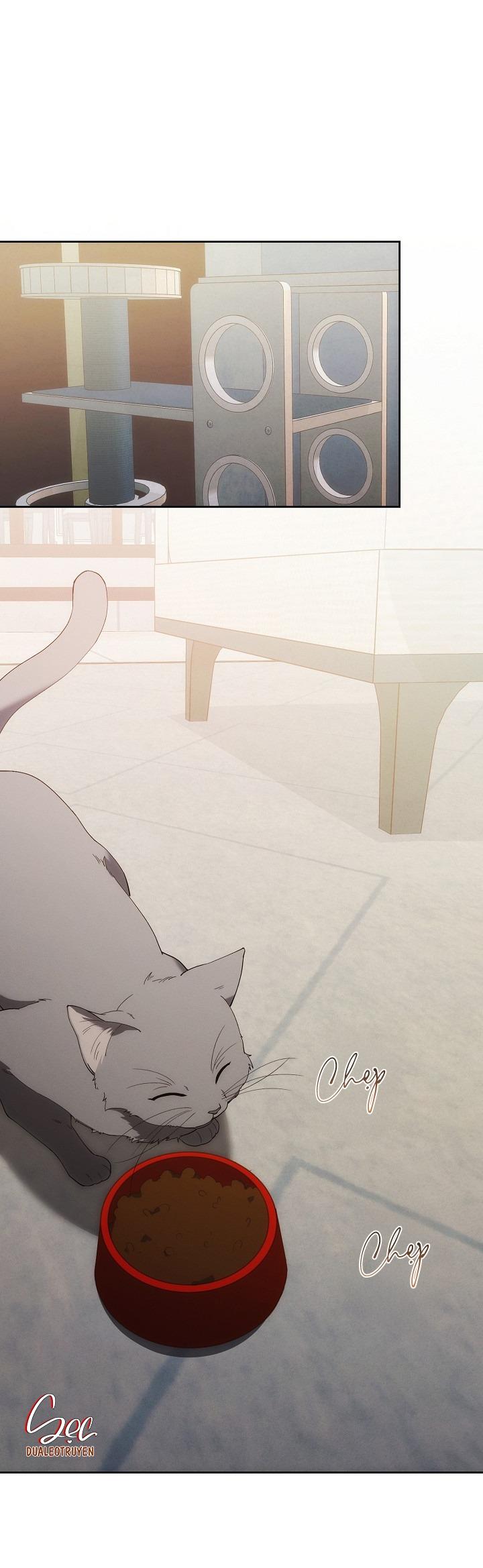 RED MANSION - Chap 36