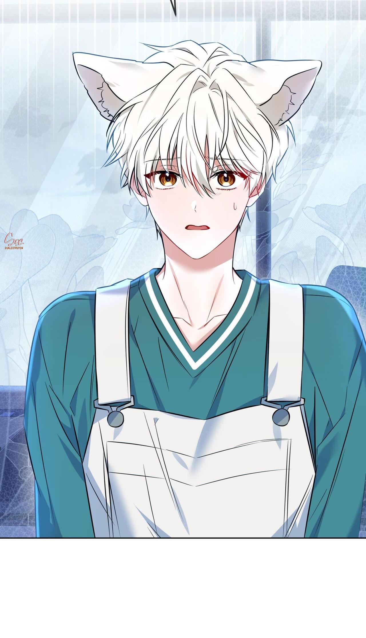 NƯỚC UỐNG TÌNH YÊU CỦA CÁO PLIN - Chap 3