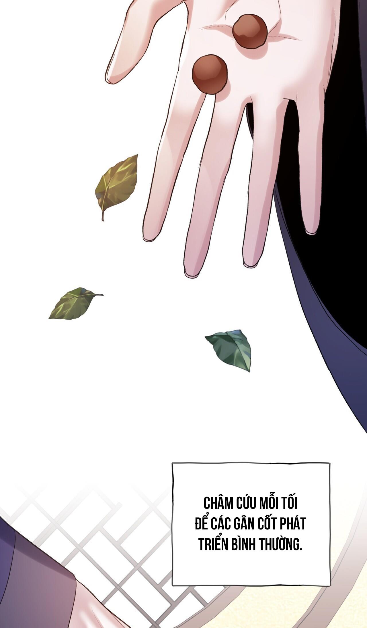 BÁT NHÃ GIAI NHÂN - Chap 50