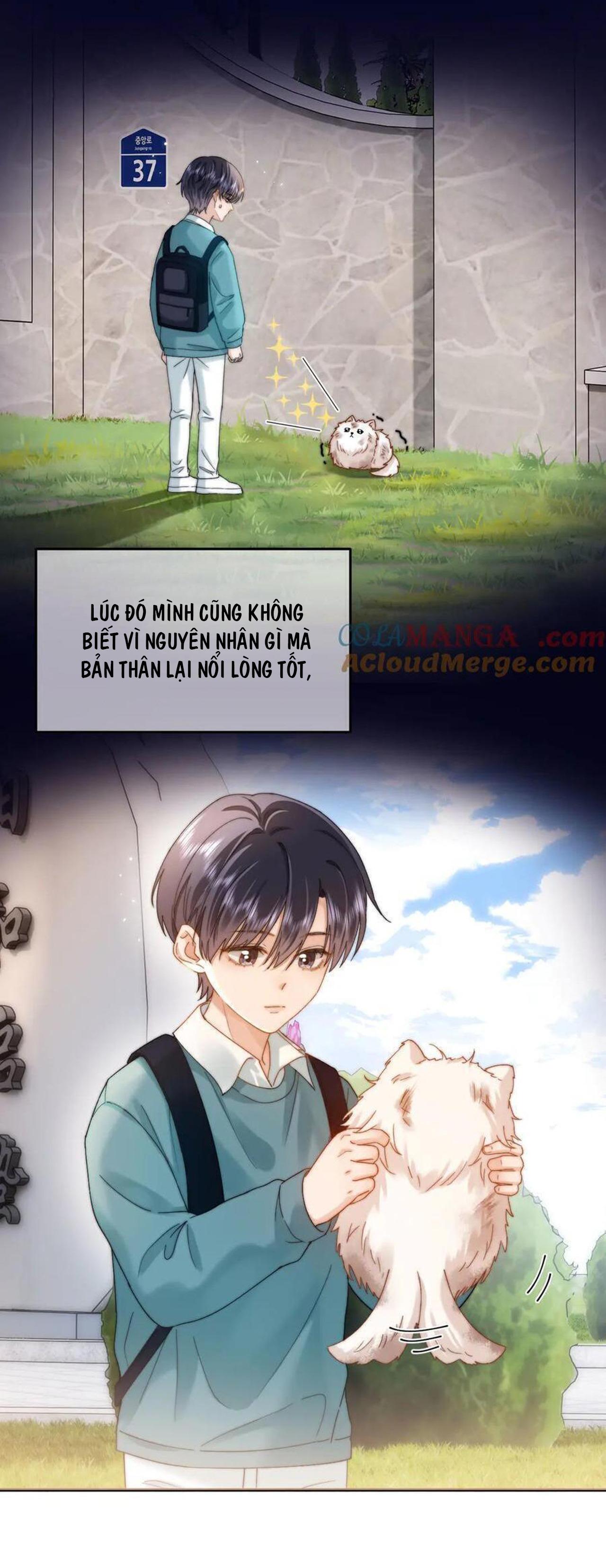 Chất Dị Ứng Đáng Yêu - Chap 52