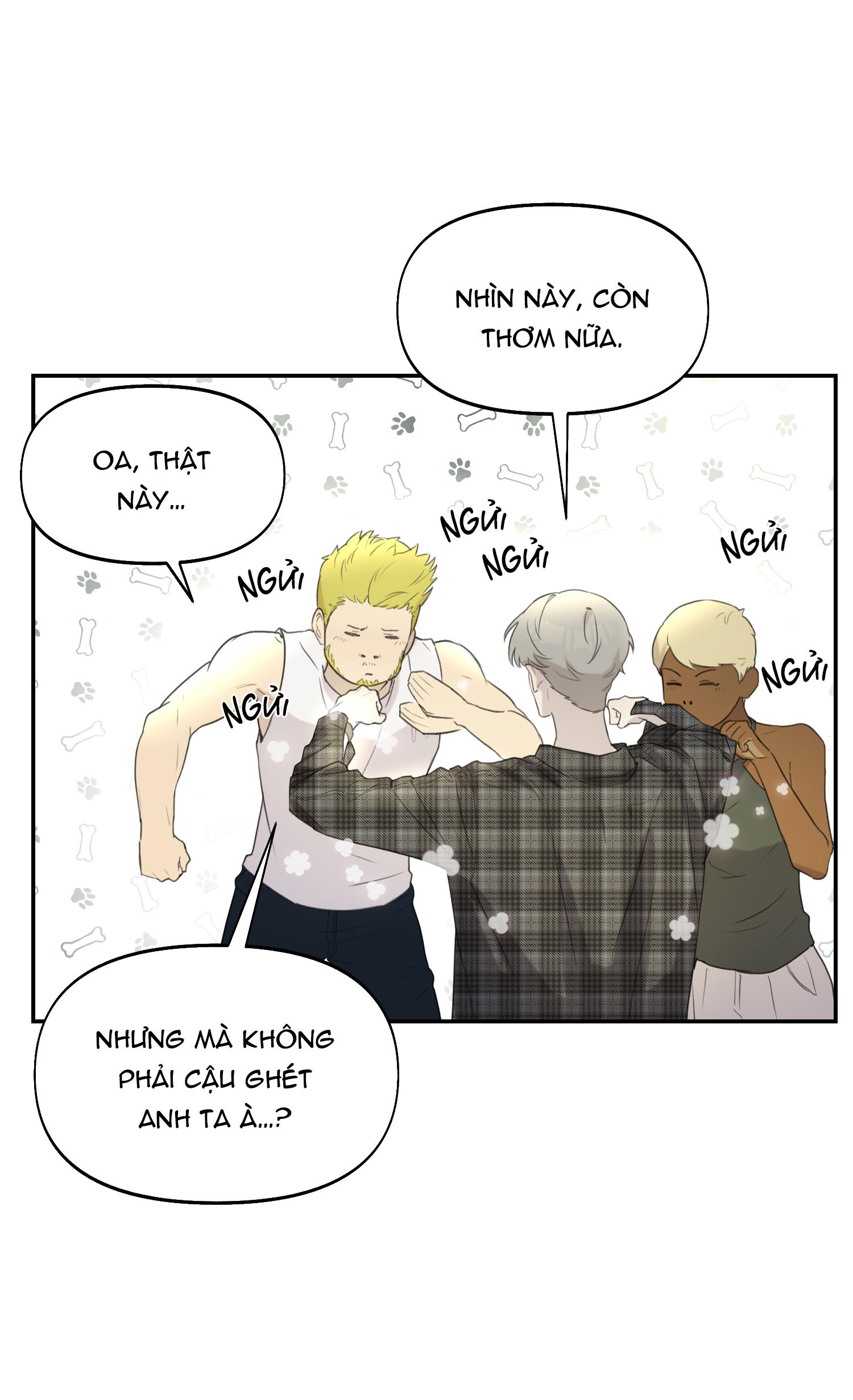 NERD PROJECT - Chap 13