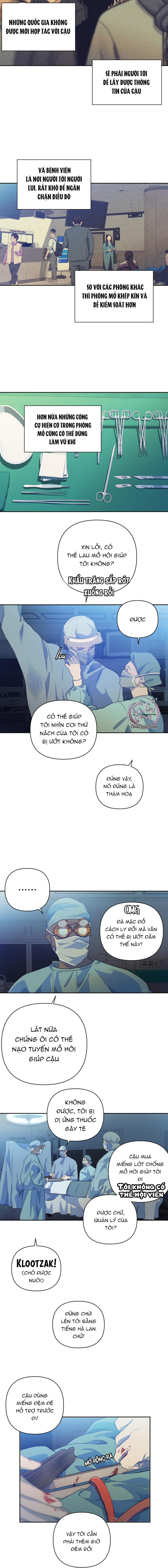 Bao Nuôi Tiền Bối - Chap 65