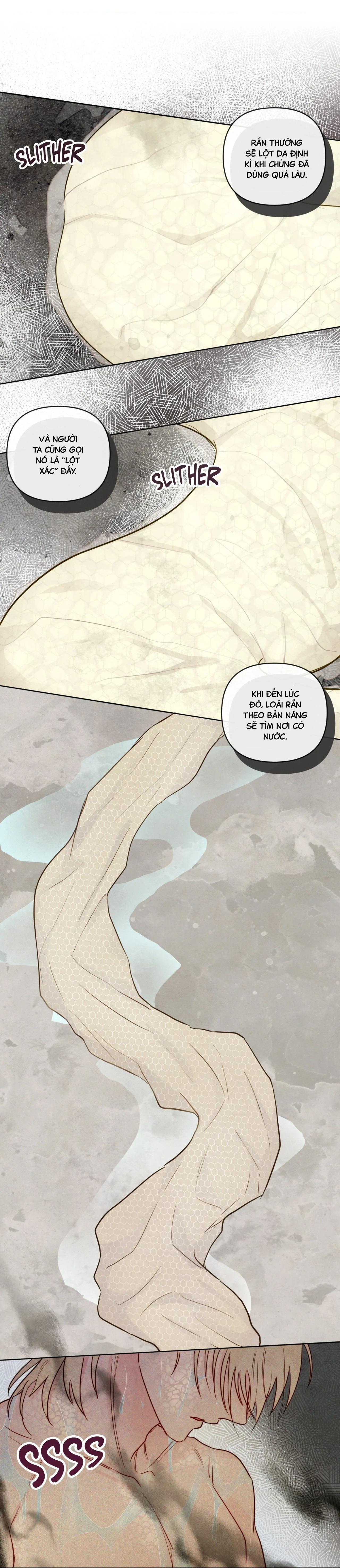 Sự quyến rũ của Thần Rắn - Chap 22